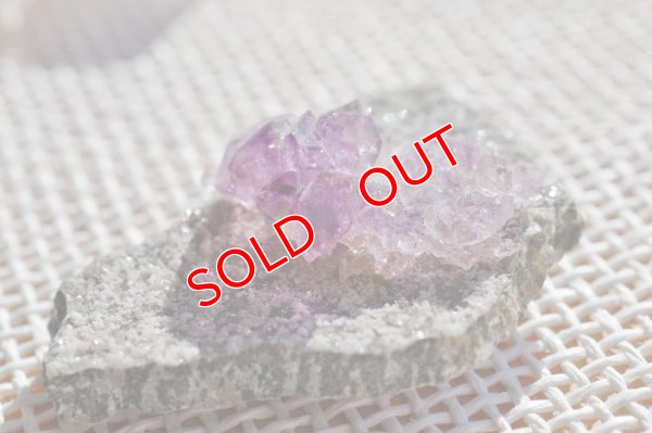 窓辺の太陽光撮影