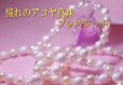 画像1: アコヤ真珠＆クィーンコンクシェル　ブレスレット　8mm (1)