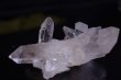画像1: トマスゴンサガ産　水晶クラスター