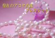 画像1: アコヤ真珠＆クィーンコンクシェル　ブレスレット　8mm